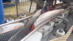 Филетировочная машина Carnitech CT2611