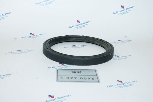 1.022.0096 Сальник FB120×100 ×12 Kaishan