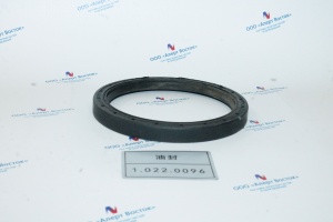 1.022.0096 Сальник FB120×100 ×12 Kaishan
