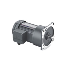 Мотор-редуктор G22