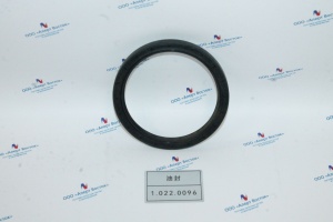 1.022.0096 Сальник FB120×100 ×12 Kaishan