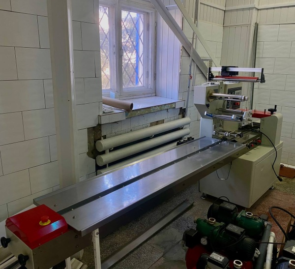 Горизонтальная упаковочная машина DXDZ-250В с датером