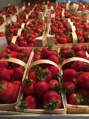 Оборудование для производства упаковки из шпона лиственных пород (для изготовления корзинок, лотков, чаш, ящиков)