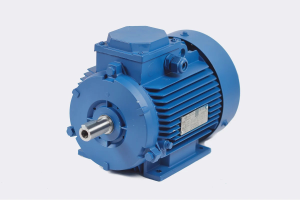 Электродвигатель Могилёв МЭЗ АИР100L2 5,5 кВт 3000 об/мин (5.5 кВт 3000 об/мин) на лапах IM1081 (B3)