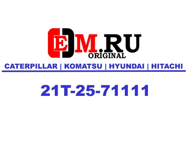 21T-25-71111 Поворотный круг Komatsu