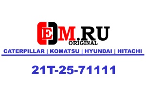 21T-25-71111 Поворотный круг Komatsu
