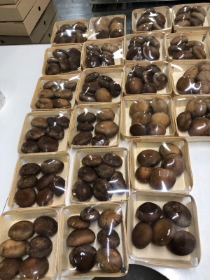 Оборудование для производства упаковки из шпона лиственных пород (для изготовления корзинок, лотков, чаш, ящиков)