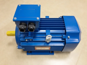 Электродвигатель АИР(5АИ)100L2 5,5 3000 (5.5 кВт 2870 об/мин) IM1081