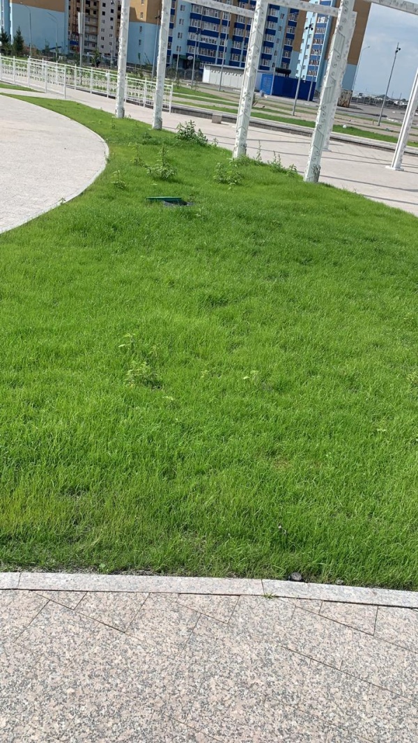 Смесь гидропосевная ГроуМикс20 Н (неорганика)