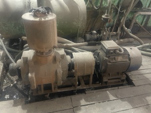 Линия по производству изделий из бугорчатого картона