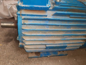 электродвигатель 5ам280 132квт. х 3000об.мин