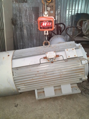 электродвигатель 250квт. х 990об.мин. марка 2АИМУР355М6 ВЗИ ( взрывозащищённого исполнения ) 380/660в