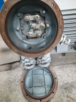 электродвигатель 250квт. х 990об.мин. марка 2АИМУР355М6 ВЗИ ( взрывозащищённого исполнения ) 380/660в