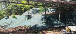 Смесь для гидропосева газона на крутых склонов «GrowMix 80»