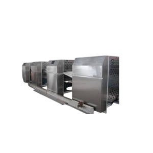 Автоматическая линия для производства чипсов HG-BPC250