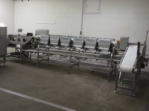 Сортировочная линия Marel DWU (2)