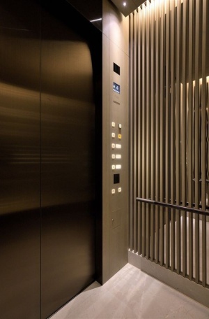 Лифтовые и эскалаторные оборудования из Ирана