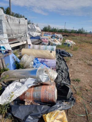 Пленки пп с печатью, в рулонах