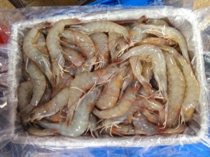 Иранская свежемороженая форель ПСГ, ПБГ, Стейки, Филе оптом