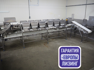 Сортировочная линия Marel DWU (2)