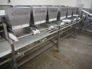 Сортировочная линия Marel DWU (2)