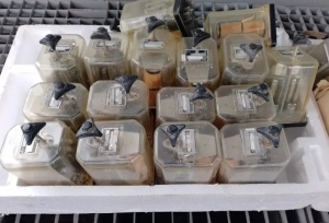 Реле электромагнитное типа НМШ 2-900