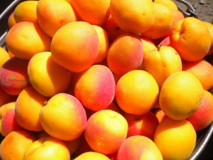 Иранские овощи и фрукты оптом