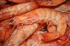 Иранская свежемороженая форель ПСГ, ПБГ, Стейки, Филе оптом