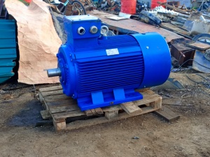 Электродвигатель 110 кВт 990/1990 об/мин