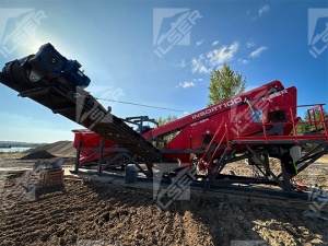 Сортировочный комплекс INSORT-100