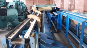 Линия сортировки круглого леса лсб-20