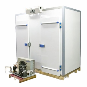 Камера расстоечная Bongard/Pavailler (1 секция, 2 двери, на 3 шпильки 600х800) с агрегатом