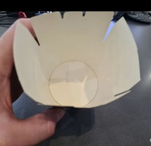 Линия для производства контейнеров для лапши 500 млн (TAC)