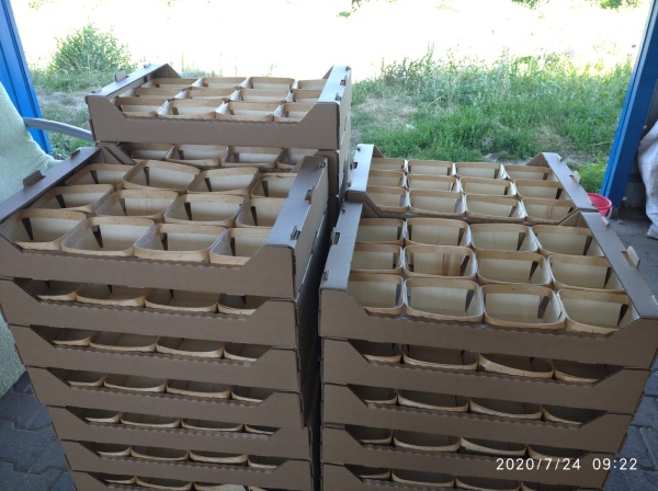 Оборудование для производства упаковки (корзинки) из шпона