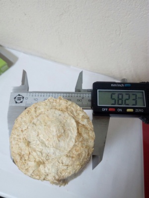 ПРЕСС для изготовления топливных брикетов NESTRO