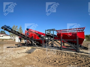 Сортировочный комплекс INSORT-100