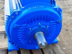 Электродвигатель 110 кВт 990/1990 об/мин