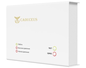 Устройство диспетчеризации кислородного газификатора CADUCEUS