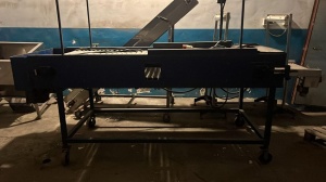 Роликовый конвейер для сортировки