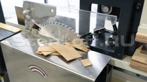 Станок для пиления и прифуговки шпона (Фурнирная пила) TG-3200