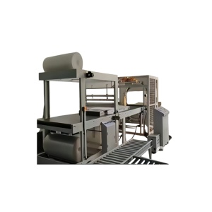 Линия для упаковки продукции в ВПП и стрейч-пленку TFZ400