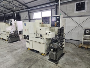 Внутришлифовальный станок для кольца подшипника SIW 3/1E (СИВ 3/1E) WMW-BWF