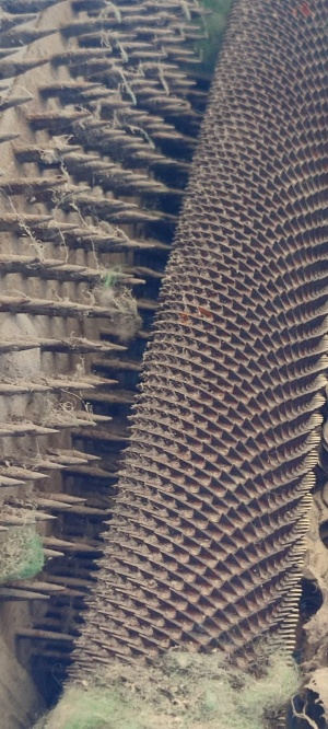 Щипальная машина Роландо