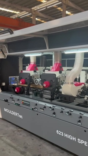 Четырехсторонний станок MOULDERTec 623 High Speed