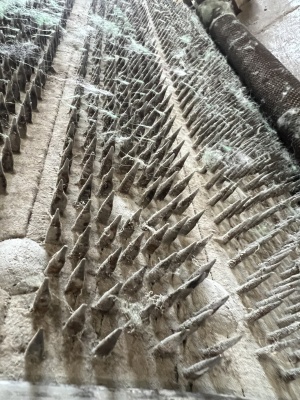 Щипальная машина Роландо