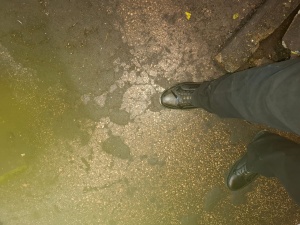 Червячнорезьбошлифовальный станок 5886в