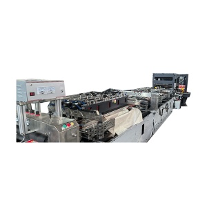 Станок для производства пакетов с 3-х сторонним швом CH-E ZUD600