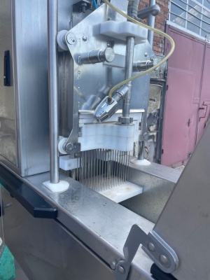 Инъектор для мяса Gunther PIH 21/57