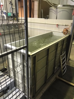 Гальванические ванны