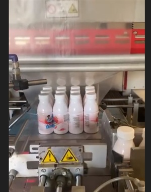 Оборудование для упаковки пастпак Р-11